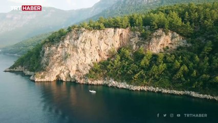 5 Akdeniz foku bir mağarada