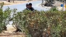 Attacco israeliano in Siria: colpita base missilistica