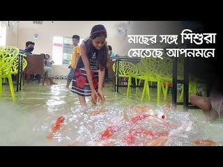 মাছের সঙ্গে পানিতে বসে খাচ্ছেন ভোজনরসিকরা | Jagonews24.com