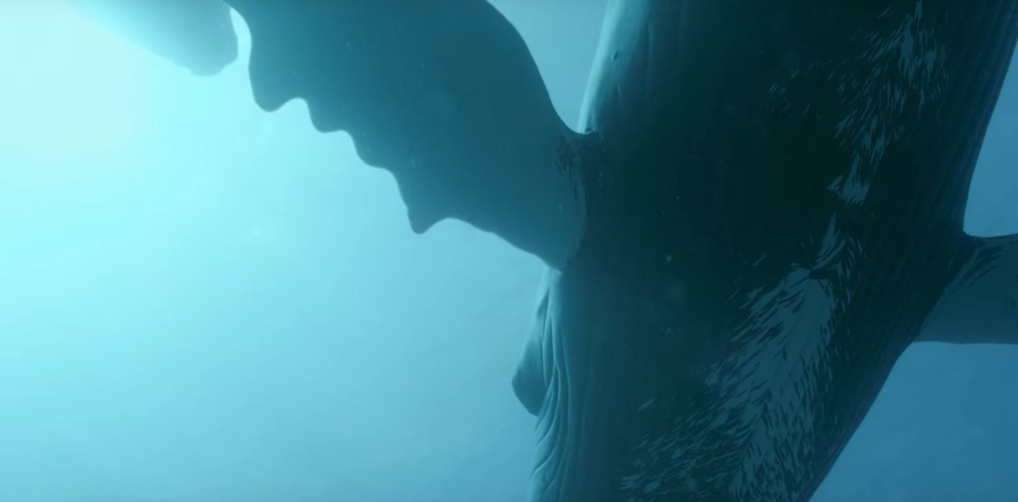 Fathom - Trailer (English) HD