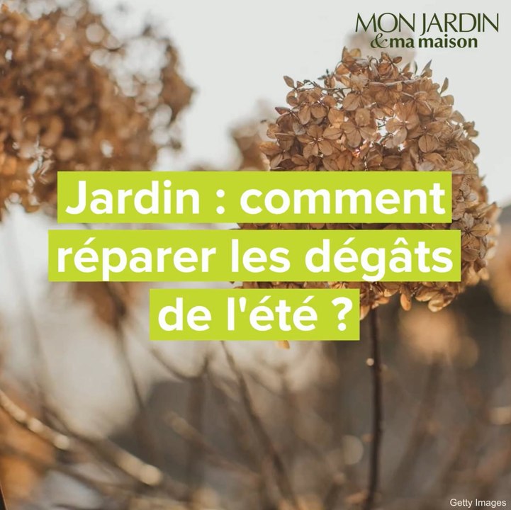 Jardin : comment réparer les dégâts de l'été ?