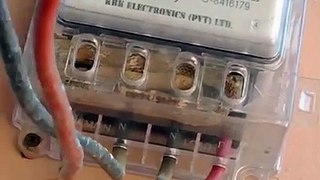 Snake in Electricity Meter