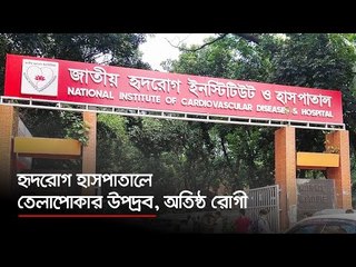 হৃদরোগ হাসপাতালে তেলাপোকার উপদ্রব, অতিষ্ঠ রোগী  | Jagonews24.com