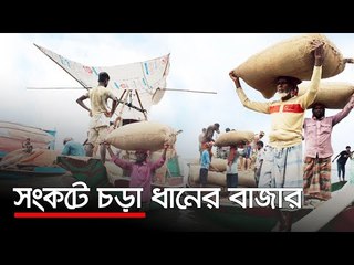 সংকটে চড়া ধানের বাজার  | Jagonews24.com