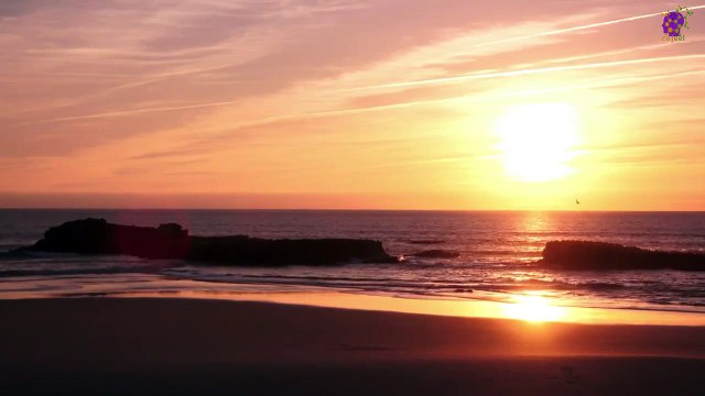 15 Minute Peaceful Music for Study | Sleep | Slow | Nature | Self-love | Calming | Soothing | Relaxing | Stress-Relief | Positive Energy | Meditation