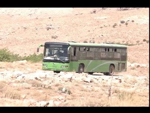 سرايا أهل الشام خارج الأراضي اللبنانية...ولو بعد انتظار! - راشيل كرم