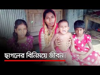 ছাগলের বিনিময়ে জীবন!  | Jagonews24.com