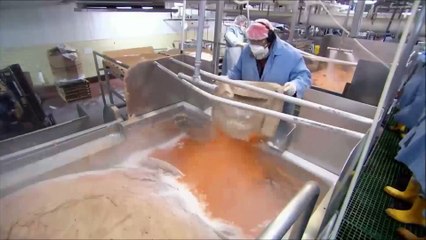 Sosis yapımını izleyen bir daha ağzına sürmüyor