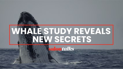 Photographer Brian Skerry discovers "Secrets of the Whales" in new series