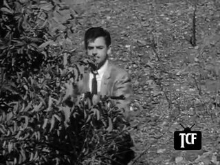 Highway Patrol 97 In Psycho