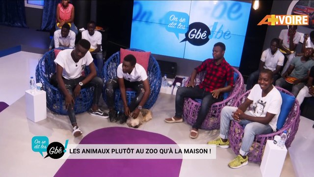 Extrait de l'émission ON SE DIT LES GBE Les animaux plutôt au zoo qu'à la maison !
