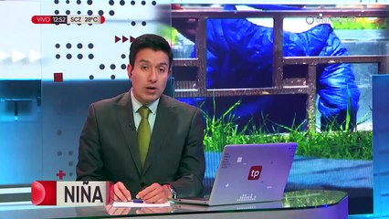 Cambios a la ley que protege a mujeres y niños están en proceso, pero sin fecha para hacerse realidad