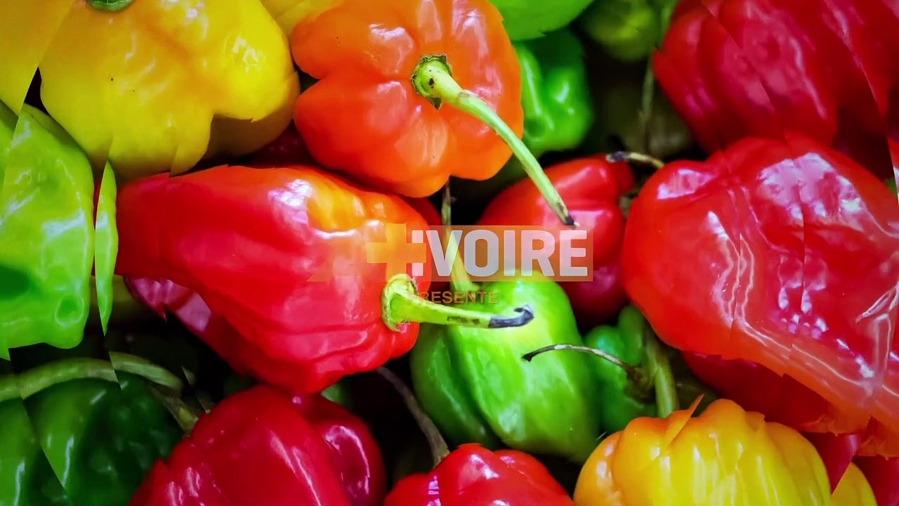 LES DABALIS DE CHEZ NOUS - BALUCHON DE PLANTAIN — Dailymotion