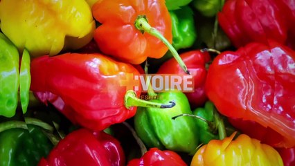 LES DABALIS DE CHEZ NOUS - COMPOTE D'EPINARDS PAVE DE CAPITAINE — Dailymotion