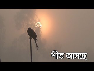 শীত আসছে