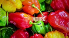 LES DABALIS DE CHEZ NOUS - FRUITS EN GELEE — Dailymotion_2