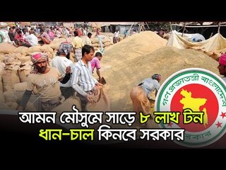 আমন মৌসুমে সাড়ে ৮ লাখ টন ধান চাল কিনবে সরকার | Jagonews24.com