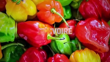 LES DABALIS DE CHEZ NOUS - SAUCE TRADITIONNELLE DE MACHOIRON — Dailymotion