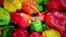 LES DABALIS DE CHEZ NOUS - SAUCE TRADITIONNELLE DE MACHOIRON — Dailymotion
