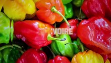 LES DABALIS DE CHEZ NOUS - WESSE FARCI A LA VIANDE — Dailymotion