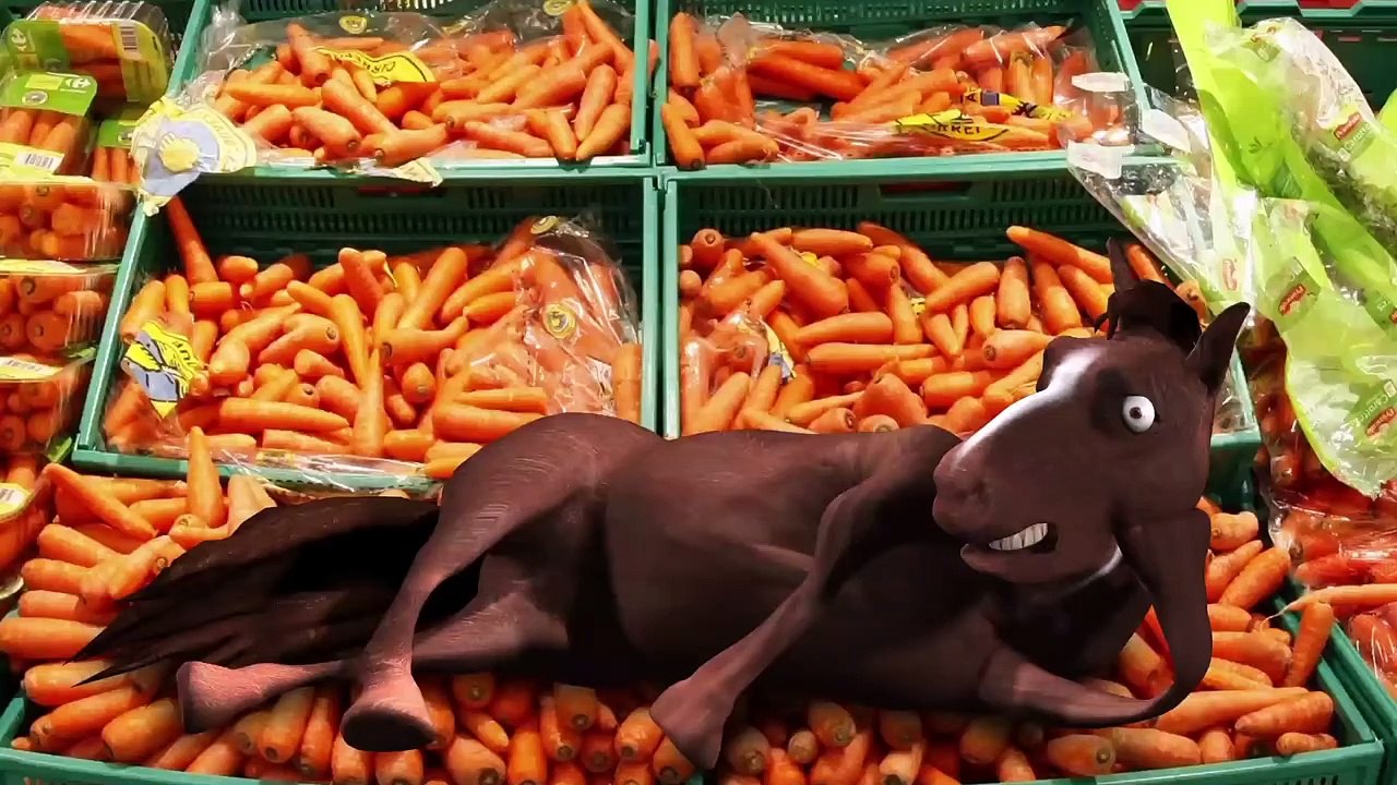 Horse Fancy