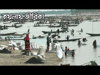কয়লায় জীবিকা | Jagonews24.com