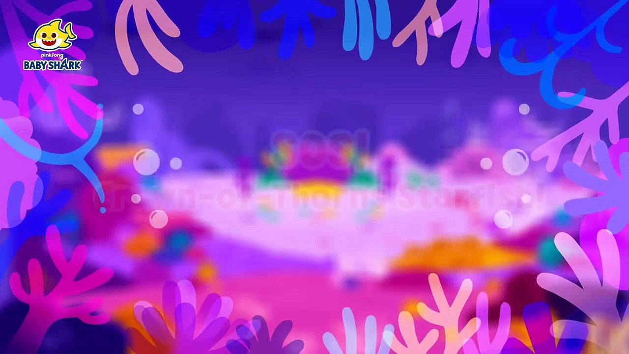 [Ep.11] Sos! Crown-Of-Thorns Starfish! | Baby Shark Brooklyn Animation | Baby Shark Official