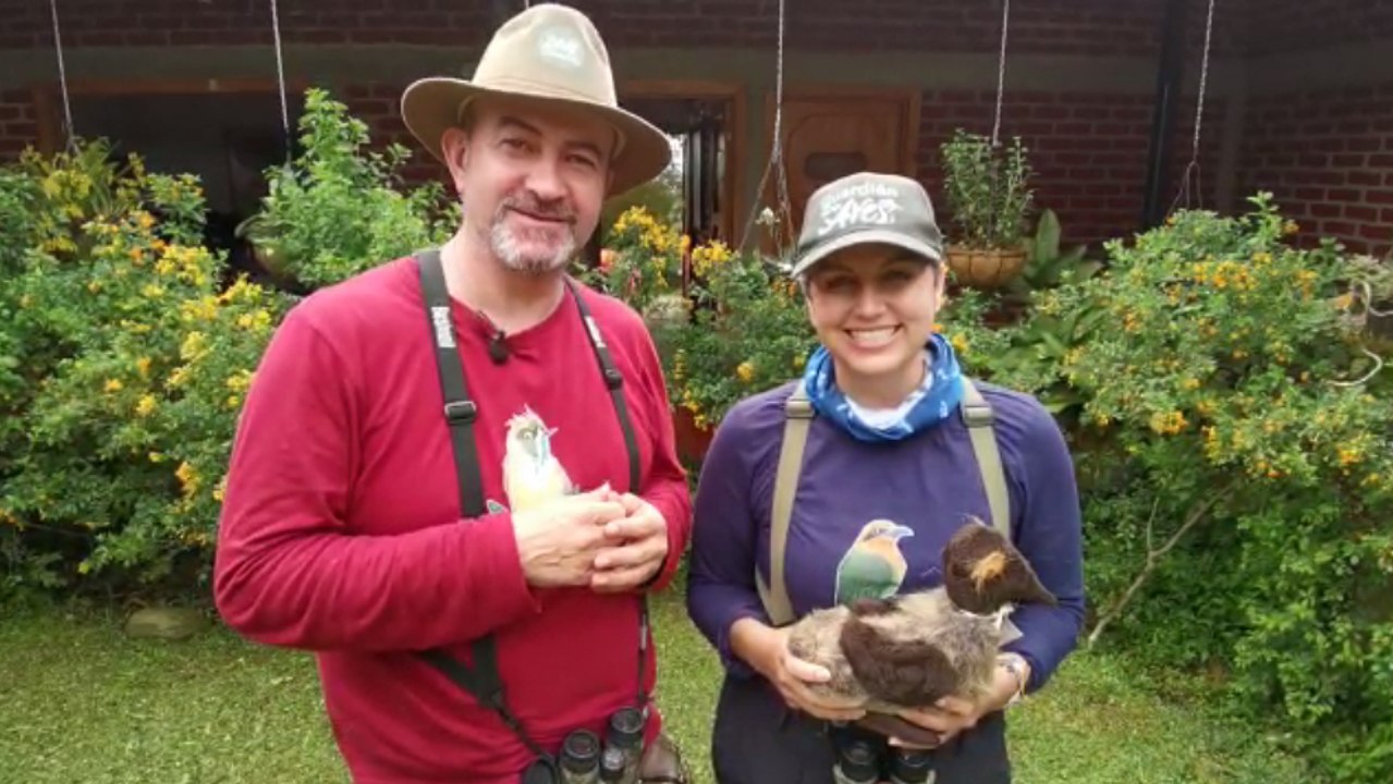 La iniciativa de dos amantes de aves que trabajan por la conservación de la especie en Colombia