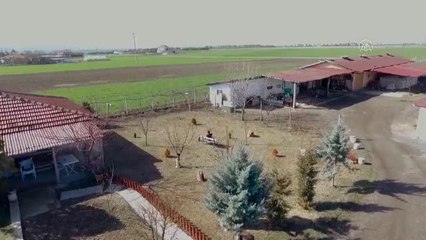 Son dakika gündem: Jandarmadan 23 Nisan'a özel kısa film