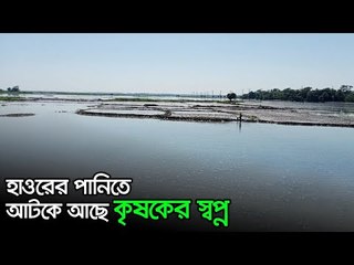 হাওরের পানিতে আটকে আছে কৃষকের স্বপ্ন | Jagonews24.com