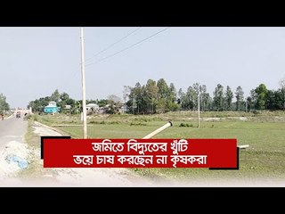 জমিতে বিদ্যুতের খুঁটি, ভয়ে চাষ করছেন না কৃষকরা  | Jagonews24.com