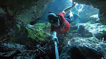 Exploring The Crystal Clear Dogwood Spring