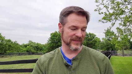 Of Mice, Men, Ants, and Lions