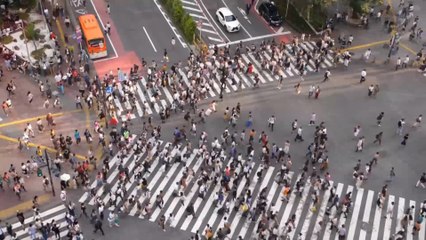 قصة شارع.. ما الذي تعرفه عن تقاطع شيبويا؟