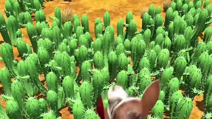 The Best Of Bokkie - Jungle Beat Compilation [Full Episodes]