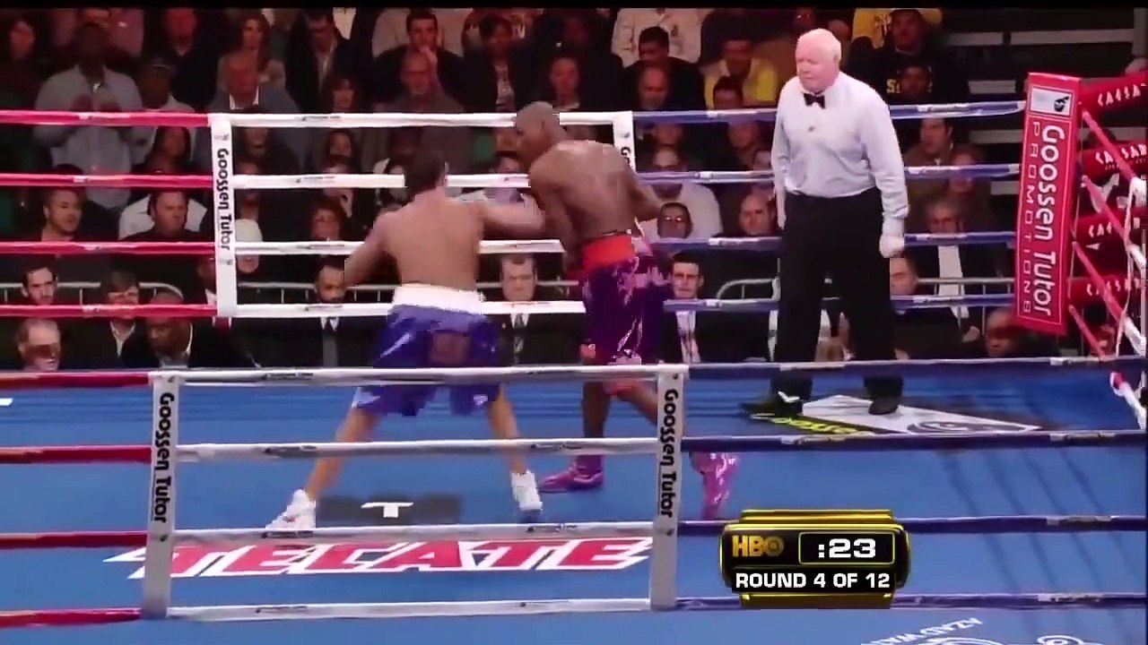 Sergio Martinez vs Paul Willians Highlights