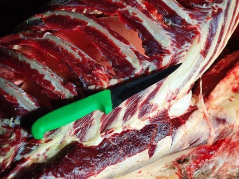 ADANA'DA, TARLADA KESİLMİŞ 3 AT BULUNDU