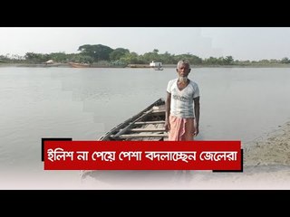 ইলিশ না পেয়ে পেশা বদলাচ্ছেন জেলেরা | Jagonews24.com