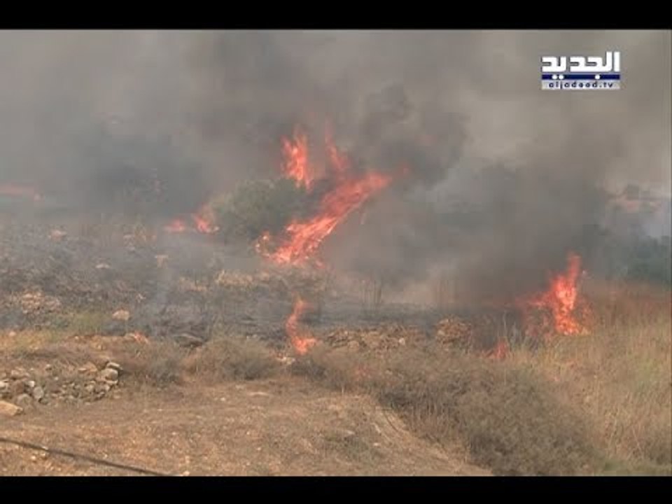 جرائم ضد الطبيعة تهدد بتغيير هوية لبنان المناخية - عمر خداج
