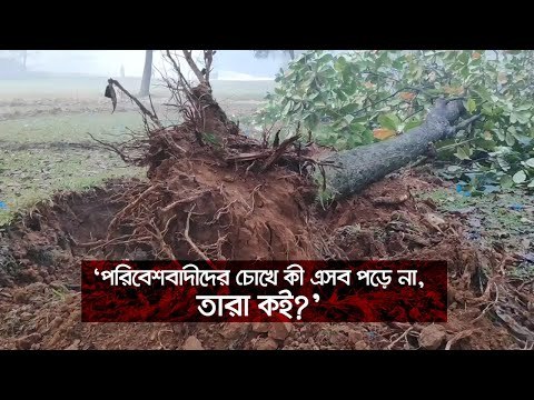 ‘পরিবেশবাদীদের চোখে কী এসব পড়ে না, তারা কই?’ | Jagonews24.com