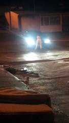 VÍDEO: Mulher se agarra em capô de carro e acaba atropelada pelo namorado no DF