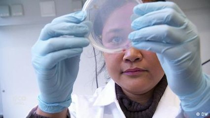 Medicines from mangroves