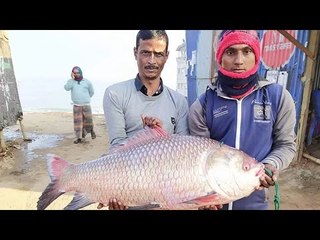 এক কাতলেই ভাগ্য খুলে গেল জেলের  | Jagonews24.com