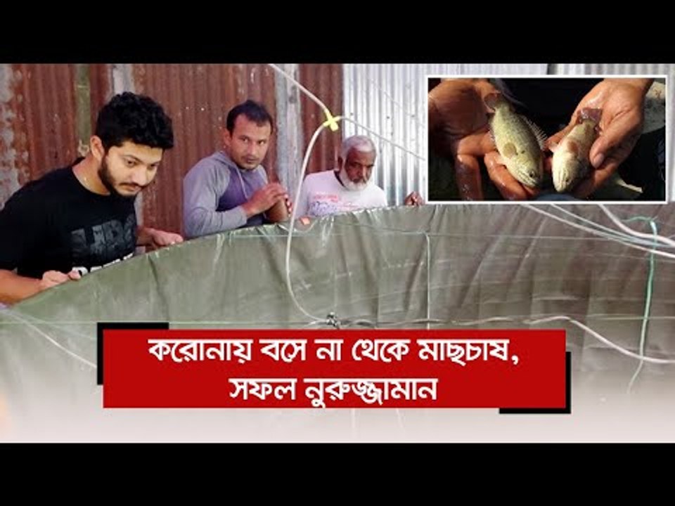 করোনায় বসে না থেকে মাছচাষ, সফল নুরুজ্জামান | Jagonews24.com
