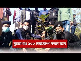 সুনামগঞ্জে ১০০ চারা রোপণ করল র‍্যাব  | Jagonews24.com