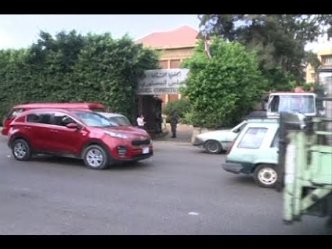 المجلس الدستوري ينقلب على من صوت له - جويل الحاج موسى