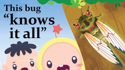 Platoon Thumbs Up: Sounds of Nature