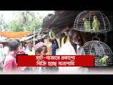 হাট বাজারে প্রকাশ্যে বিক্রি হচ্ছে বন্যপাখি | Jagonews24.com