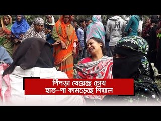 পিঁপড়া খেয়েছে চোখ, হাত-পা কামড়েছে শিয়াল  | Jagonews24.com