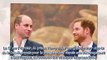 Harry et William bientôt réconciliés - Les confidences pessimistes d'un ami de la famille royale